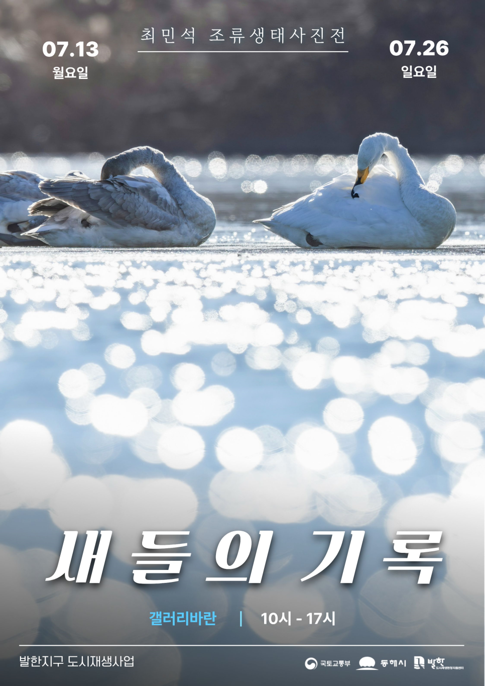 새들의 기록